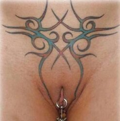 Pierced Nips and Twat