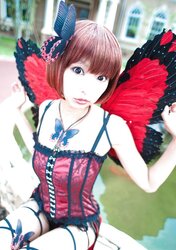 Japanese Cosplay Beauties-Necoco (1)
