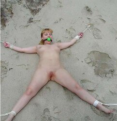 Ache sensation sexslaves Sadism & Masochism strapped up taped up flagellated