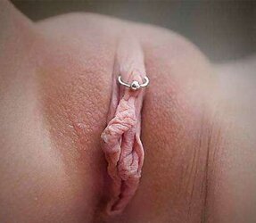 G-Spot, Vulvas, Muschis, Moesen, Fotzen, Fickspalten ...