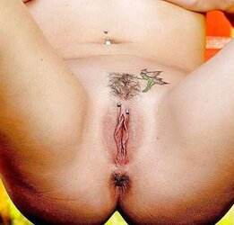 G-Spot, Vulvas, Muschis, Moesen, Fotzen, Fickspalten ...