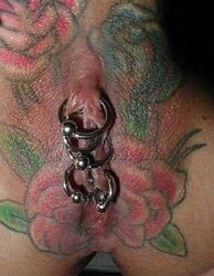 G-Spot, Vulvas, Muschis, Moesen, Fotzen, Fickspalten ...