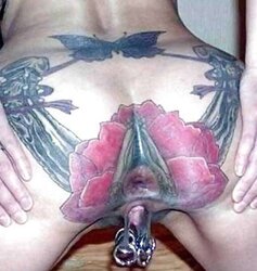 G-Spot, Vulvas, Muschis, Moesen, Fotzen, Fickspalten ...
