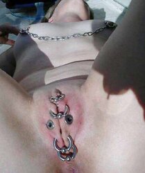 G-Spot, Vulvas, Muschis, Moesen, Fotzen, Fickspalten ...
