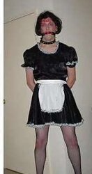 Sissy - Tammy Gets On All Fours