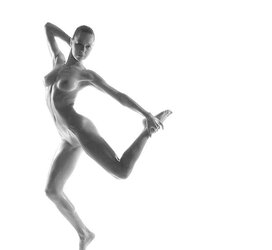 Erotic Bare Art