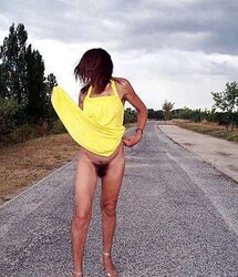 LA LOUPETTE