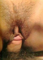The Defloration Personal Album Number