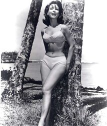 ASN So Light-Haired and stellar that I Wish of BARBARA EDEN Jeannie