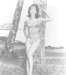 ASN So Light-Haired and stellar that I Wish of BARBARA EDEN Jeannie