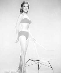 ASN So Light-Haired and stellar that I Wish of BARBARA EDEN Jeannie