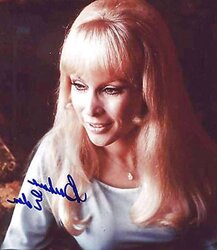ASN So Light-Haired and stellar that I Wish of BARBARA EDEN Jeannie