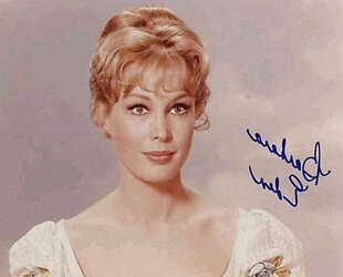 ASN So Light-Haired and stellar that I Wish of BARBARA EDEN Jeannie