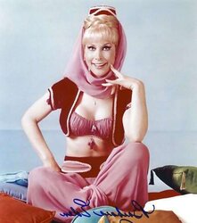 ASN So Light-Haired and stellar that I Wish of BARBARA EDEN Jeannie