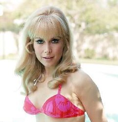 ASN So Light-Haired and stellar that I Wish of BARBARA EDEN Jeannie