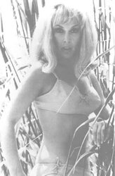 ASN So Light-Haired and stellar that I Wish of BARBARA EDEN Jeannie