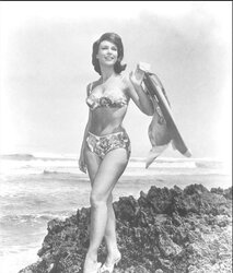 ASN So Light-Haired and stellar that I Wish of BARBARA EDEN Jeannie