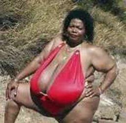 Norma Stitz