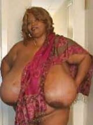Norma Stitz