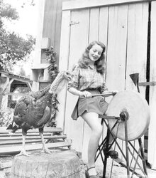 Thanksgiving - Vintage Pinup Images