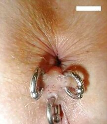 Assfuck Piercings