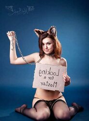 Kittens and Bunny 13!