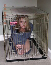 Leash,box,pet...