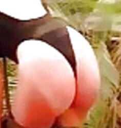 LINDA BOOTIES