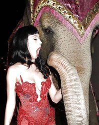 Katy Perry Messy Images And Fakes
