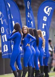 LINDAS ZORRITAS II