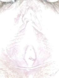 I want spunk on my images