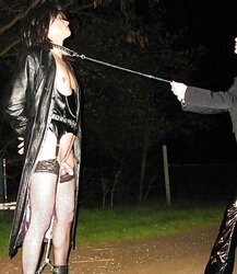 My Fav Hobby - Dogging