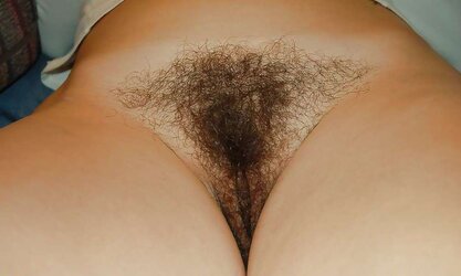 Fur Covered Blend