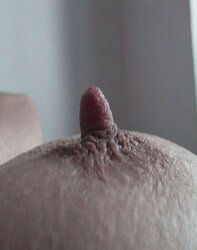 Puffies : Some large ones and Some Rock Hard ones.