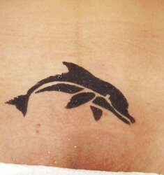 More vajazzling