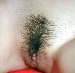 The Cutie of Asian Unshaved