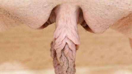 Ample cunt, riesen schamlippen, lange schamlippen