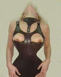 Collared 31!