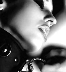 Collared 31!