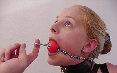 Collared 31!