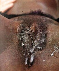 Tasty Creampies
