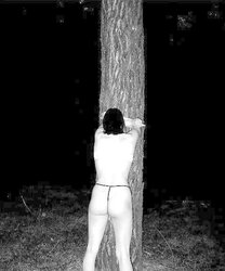 Silke im Wald