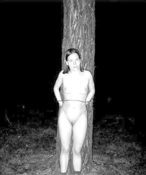 Silke im Wald