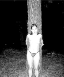 Silke im Wald