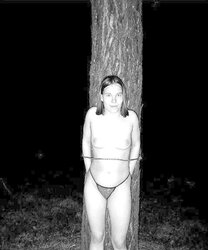 Silke im Wald