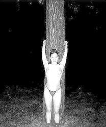 Silke im Wald