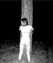 Silke im Wald