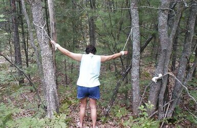 Caught In The Forest