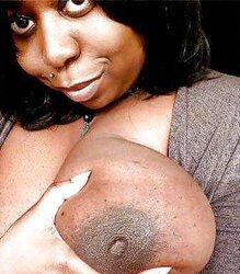 Inexperienced Ebony Nymphs Vol