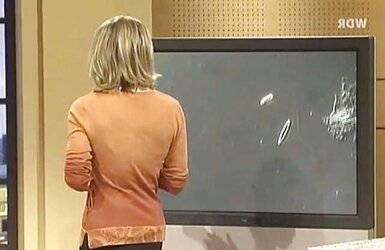 Birgit Klaus